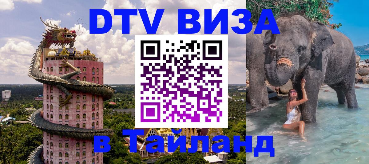Visa ДТВ Тайланд помощь Бердск Visa ДТВ Тайланд помощь Бердск